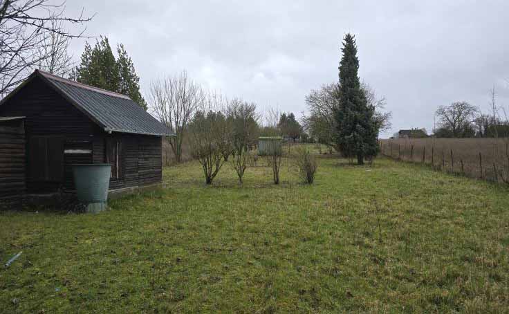 Ouverture de notre club canin !