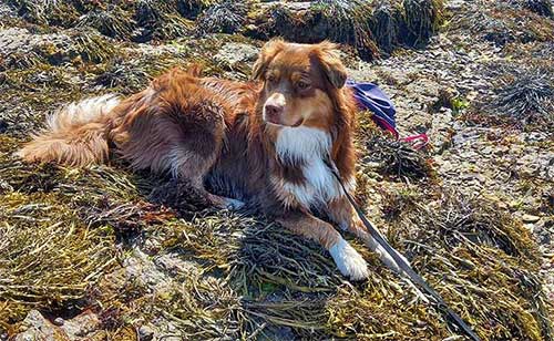 Venez nous rencontrer dimanche 1er mars